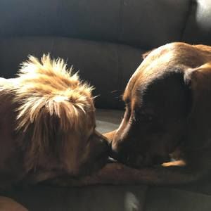 Meet your Posher, Loretta